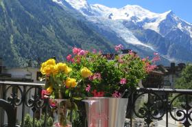 Hotel Le Chamonix - photo 15