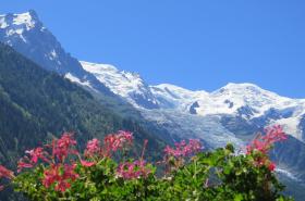 Hotel Le Chamonix - photo 6