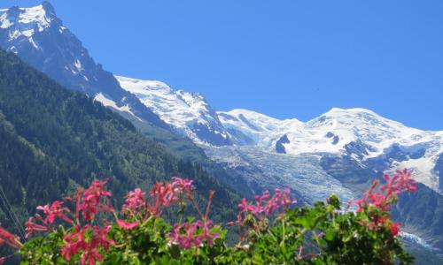 Hotel Le Chamonix - photo 3